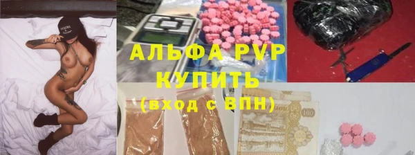стафф Алексин