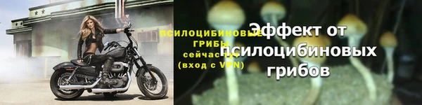 марки lsd Абаза