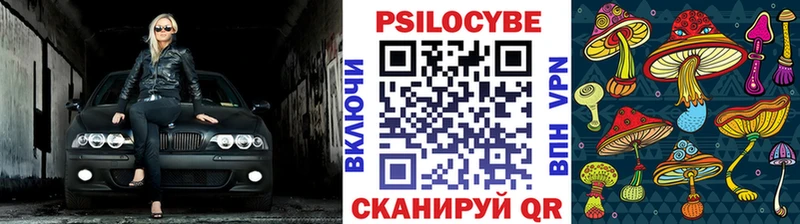 Псилоцибиновые грибы Psilocybine cubensis  Кочубеевское 