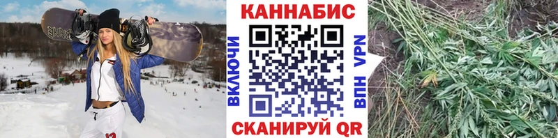 Каннабис тримм  Кочубеевское 
